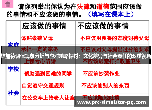 林加德调侃现象分析与应对策略探讨：文化差异与社会责任的双重视角