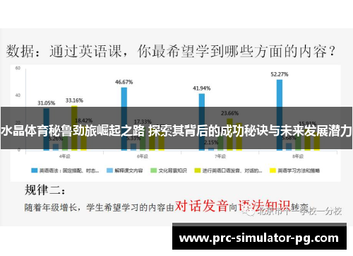 水晶体育秘鲁劲旅崛起之路 探索其背后的成功秘诀与未来发展潜力