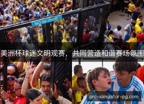 美洲杯球迷文明观赛，共同营造和谐赛场氛围